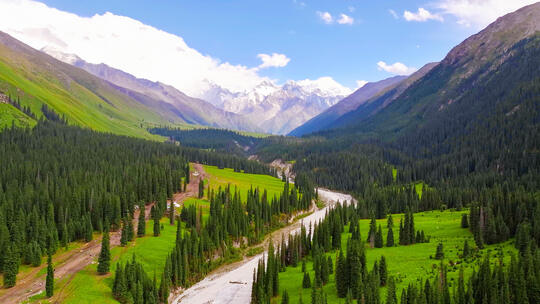 [4K60FPS]夏塔雪山河流/山川森林/自然风景