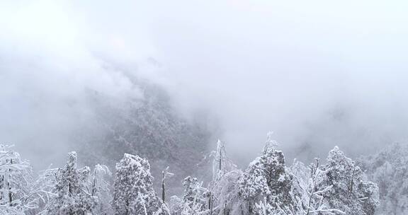 冬季山林雪景迷雾