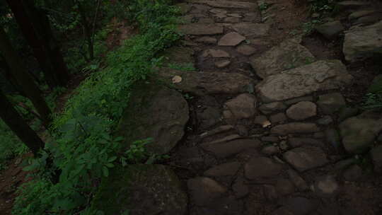 山林中的古道