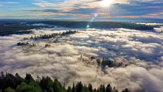 森林阳光云海森林云雾缭绕树林山大自然风景