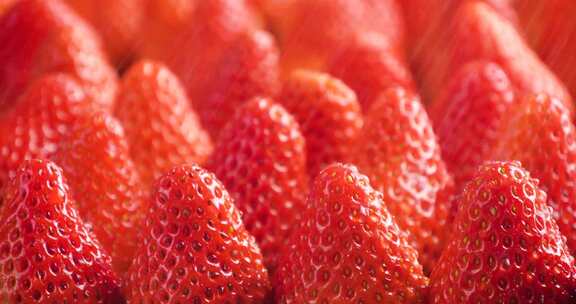 草莓园草莓种植草莓特写