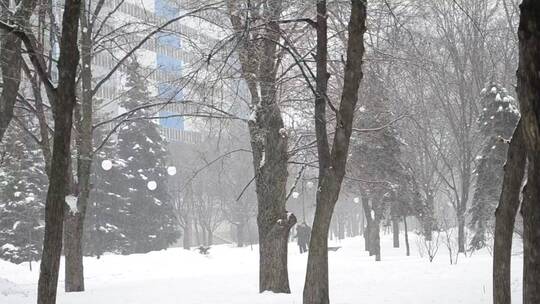 城市公园里下着厚厚的雪视频素材模板下载