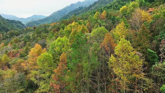 靖安隐仙谷山区