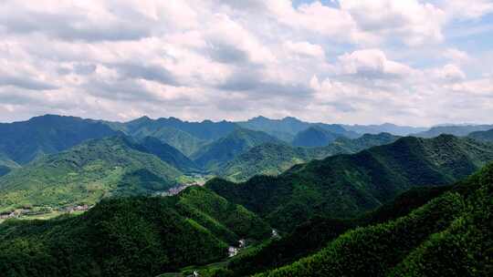 航拍江南浙江山区竹林竹海竹山