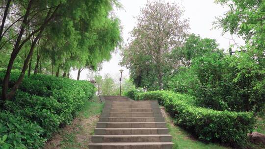 楼梯栈道走道走廊绿植公园植物前进