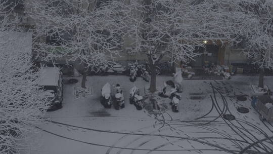 城市雪景 冬天下雪