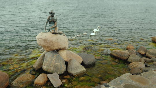 哥本哈根湾的小美人鱼雕像视频素材模板下载