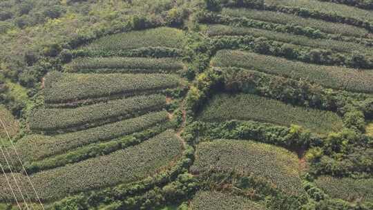 山区 航拍