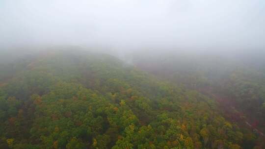 航拍吉林拉法山国家森林公园蛟河红叶谷秋景