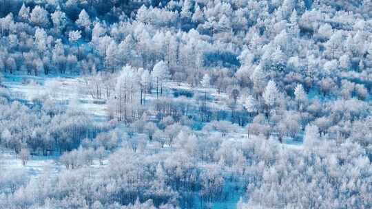 唯美冬天雪景树林雾凇下雪