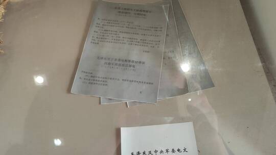 抗战烈士英雄纪念馆王树声将军县麻城陵园视频素材模板下载
