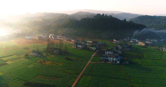 宁静的山村早晨航拍风景