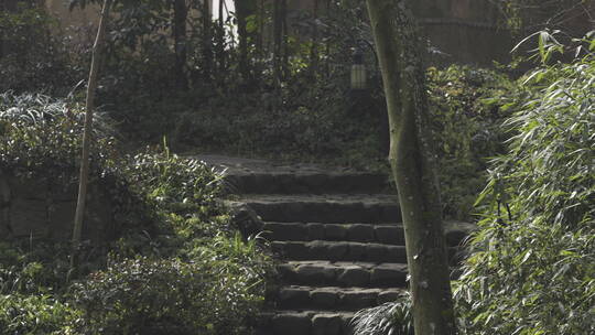 杭州西湖 灵隐寺 园林 森林 山水 庭院 安缦