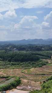 竖屏航拍南方山川丘陵梯田农田