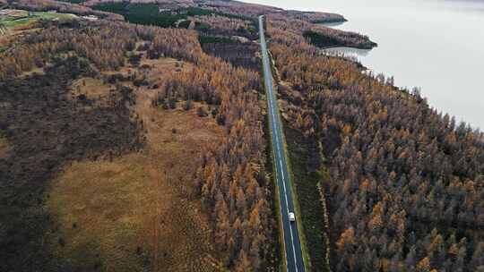 汽车行驶在大海边森林公路中海边公路