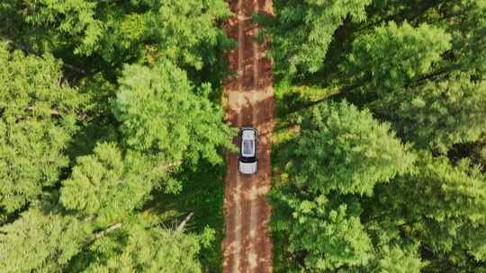 航拍汽车行驶在森林道路