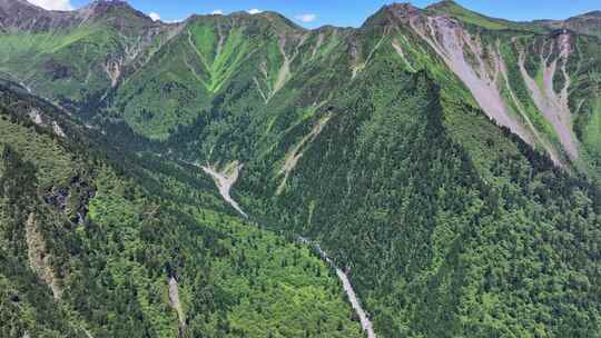 航拍四川独库公路宝康线高山森林风光