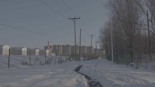 沈阳丁香湖雪景银装素裹的雪后树林景色