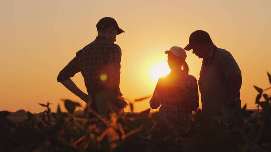 在农场的农业团队交谈握手的剪影