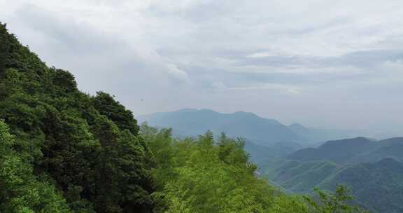 中国浙江杭州径山古道竹林航拍