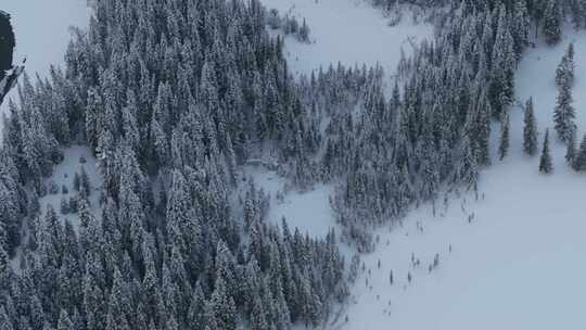 航拍新疆喀纳斯雪景