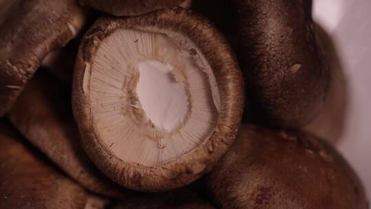 鲜香菇蘑菇 (4)视频素材模板下载
