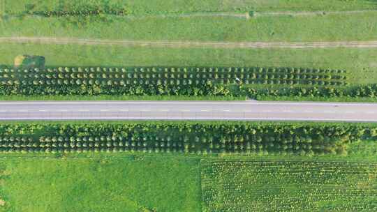 【航拍】草原天路  草原公路上行驶的汽车