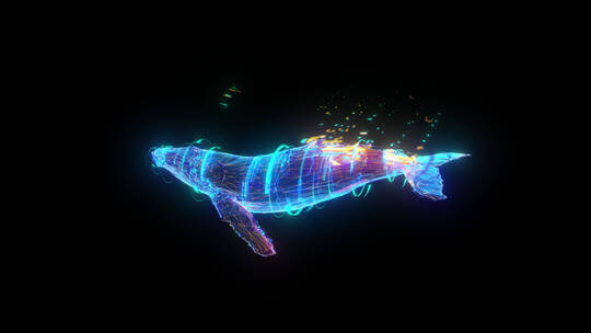 赛博朋克三维科幻俯拍海豚通道