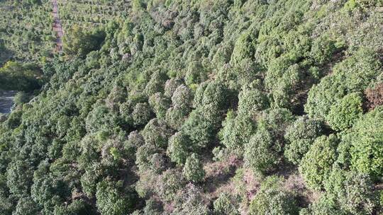 祖国大好河山连绵起伏山川航拍视频素材模板下载