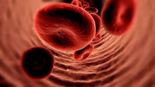 血液细胞在血管里活动视频素材模板下载