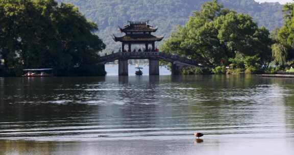 杭州西湖夏天曲院风荷玉带晴虹桥风光