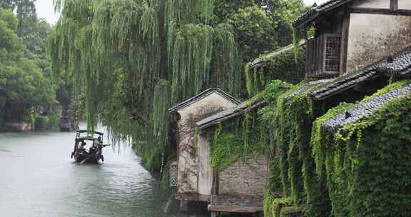 （慢镜）中国江南水乡千年古镇乌镇下雨天