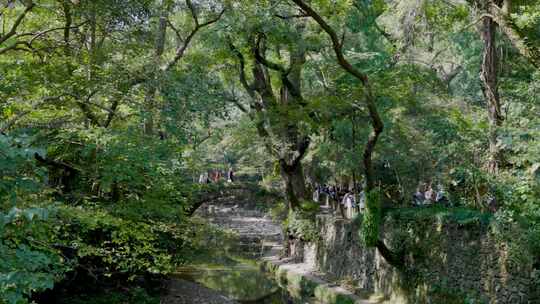 天台山国清寺照壁前丰干桥人群