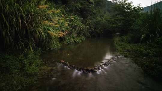 夏季农村小溪萤火虫延时