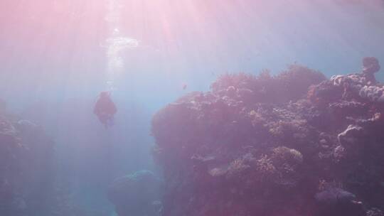 潜水员在暗礁处潜水