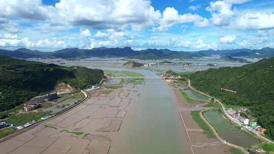 航拍温州乐清雁荡山红树林保护区蓝色海湾