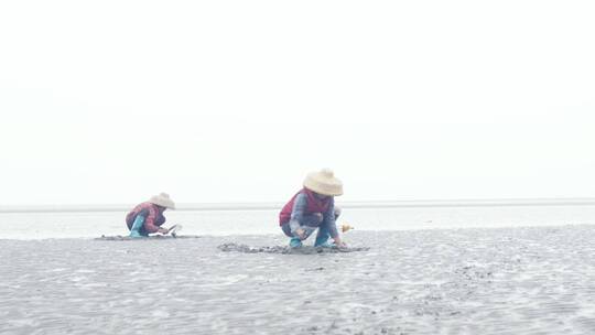 广东雷州半岛 挖钉螺贝壳2