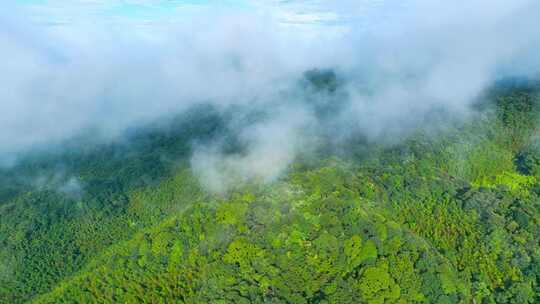 航拍山川原始森林云雾缭绕