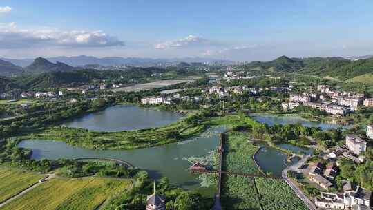 水稻秋收 美丽乡村 乡村振兴 五彩田园