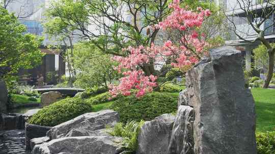 园林石头小景流水杜鹃花