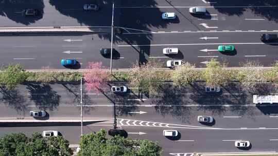 花卉盛开的广州道路交通航拍