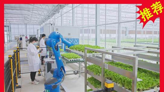 智慧农业自动化种植 现代农业科技创新