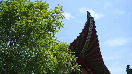 武汉武昌区宝通禅寺