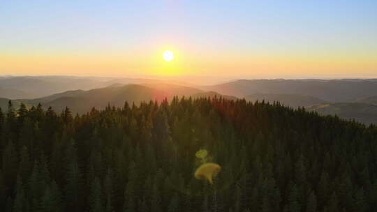 野山深松林彩色日落的美丽自然景观鸟瞰图