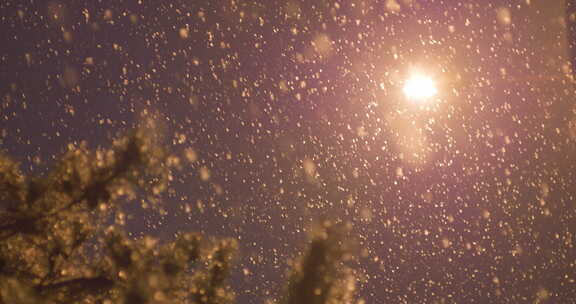 夜晚下大雪