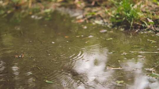 雨水轻轻落在水坑上，形成涟漪