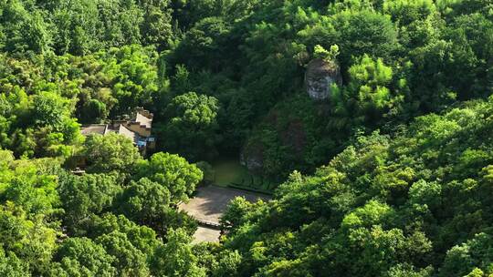 新昌大佛寺景区视频素材模板下载