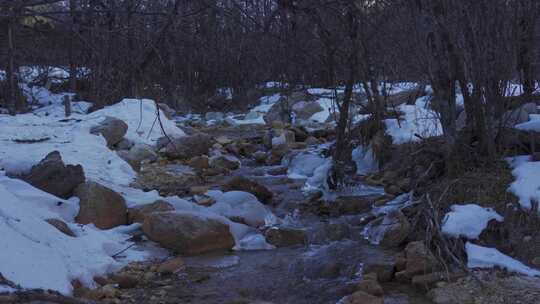 冬天四川毕棚沟林中小溪雪景