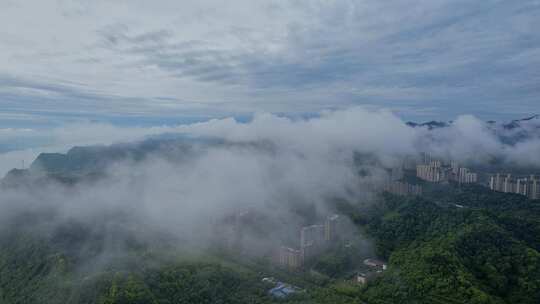 航拍城市云雾缭绕·水墨宜昌西陵·点军