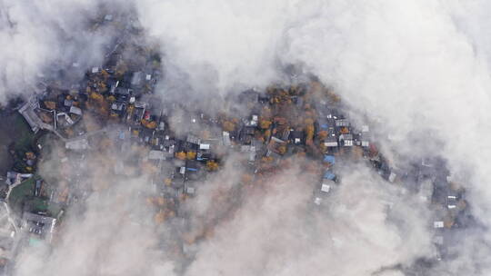 俯瞰云雾中的银杏村落